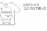 【悲報】ユニクロのセルフレジ、終わる・・・?