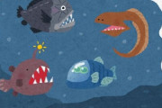 wiki｢深海魚は過酷な環境に適応する為に独自で進化してきました｣←！？！？