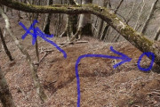 有識者「登山中に迷ったら山頂を目指せ」有識者「登山で迷ったら下り道探して下山しろ」