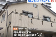【悲報】8歳児暴行の慶應生幸田龍祐クン（20）、名前もイケメン顔も実家の幕張の豪邸も開示される