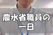 「これ公式が載せてるの？」農水省職員の1日の労働時間に批判殺到「悲しい気持ちになりました…」「22時退勤か」