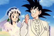 【悲報】オタクさん「結婚予定だった彼女にフラれた。ドラゴンボールのフィギュアも式で飾ろうと話してたのにどうして…」
