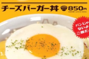 松屋、期間限定でチーズバーガー(自称)を販売ｗｗｗｗｗ