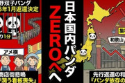 【速報】上野のパンダ、観覧時間1人1分で「平日で4時間待ち」