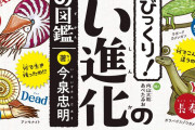【親ガチャ民さぁ】人間に生まれる確率、ヤバスギだった‥‥“１億円の宝くじに１００万回連続あたるより難しい”