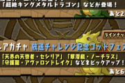 パズドラのガチャを引こうと思うんだがｗｗｗｗｗｗｗｗｗｗｗｗｗｗｗｗｗｗｗｗｗｗｗｗｗｗｗｗｗｗｗｗｗ