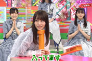 【櫻坂46】守屋麗奈ちゃんに相応しいアダ名ｗｗｗｗｗ
