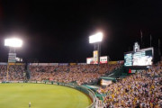 阪神－巨人の甲子園で1万8000人の観衆　「密が発生」でクラスター懸念の声
