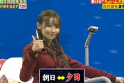 【ネプリーグ】黒見明香、正解してこのポーズwww【乃木坂46】