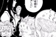 【悲報】ハンターハンターの十老頭とかいう広げられそうだった設定ｗｗｗｗｗ