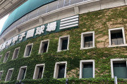 【朗報】根も葉もＲｕｍｏｒが２０２２年甲子園選抜高校野球の行進曲になる確率高い