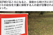 都内の公園で「セミの幼虫採取禁止」の張り紙　食用目的で乱獲か
