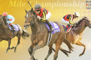第38回 マイルチャンピオンシップ (GⅠ)