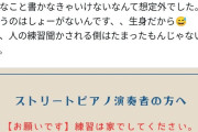 【悲報】ストリートピアノ運営さん「あのさぁ、練習とか聞かされても不快なんだから家でして」無事炎上