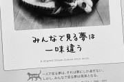 上國料もえぴー、旅をする「一人の人生も楽しんでいかなきゃね！」