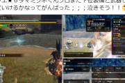 【モンハンライズ】ふーたんなんでそんな縛りプレイしてるんや…