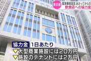 【正論】大型百貨店、緊急事態宣言時の20万円支給に激怒