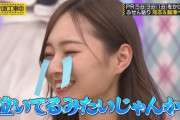 【乃木坂46】梅澤美波×岡本姫奈 素晴らしかった 梅ぴえん?.gif【乃木坂工事中】