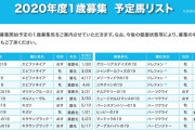 2020年度シルク募集馬発表される