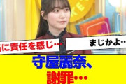 【櫻坂46】守屋麗奈、ある件をガチ謝罪…【#そこ曲がったら櫻坂 #Iwanttomorrowtocome  #三期生 #ミーグリ #オタの反応集 】