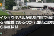 メイショウタバルが凱旋門賞で通用する可能性はあるのか？血統と脚質から徹底検討