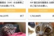 猫の手術の為にスープラを売却…→購入者「修理保管しておくから全て片付いたら買い戻しに来い」