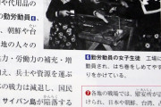 小さい子に売春婦を教えるのはいかがなものかと　〜　【韓国】日本で慰安婦動員をまともに扱った教科書がシェア1位に
