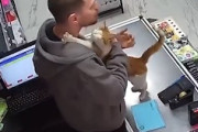 【ネコ】店員さんとハグする為に毎日通ってくる野良猫ちゃん。