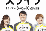 【悲報】スッキリ「おい、いま嫁って言ったよな？それ誤用だよ？」