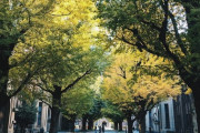 東京大学←こいつのコスパの悪さは異常じゃね？