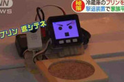 【画像】冷蔵庫の中のプリンを守る画期的な装置が2年かけて開発されるｗｗ