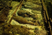 170年前に沈んだ遭難船内から未開封のシャンパンボトルを多数発見…バルト海！