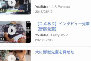 【悲報】野獣先輩の検索結果、汚染される