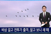 韓国人「韓国軍が『鳥の群れ』に戦闘機を出撃させてしまう‥鳥の群れを無人機と誤認」　韓国の反応