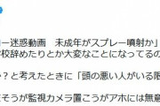 ひろゆき氏　新たなスシロー迷惑動画に「アホには無意味」と対策限界説「頭の悪い人がいる限り無理」