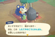 『あつまれどうぶつの森』で1番可愛いキャラと言えばあいつだよな？