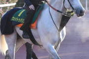 【唯一の招待馬】仏Ｇ1馬ウェイトゥパリス　完全に空気扱いだが…