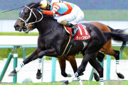 【競馬】有馬記念ファン投票 第1回中間発表、流石にトップ10はG1馬しかおらんな。←「ん？」