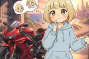 バイクめちゃめちゃ欲しいんだがバイク持ってるやついる？相談のってほしいんだが