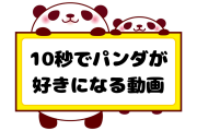 日本で話題の「10秒でパンダが好きになる動画」が可愛すぎる！【タイ人の反応】