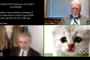 「判事、わたくしは猫ではありません！」オンライン法廷で猫になってしまった弁護士、必死に訴える