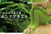 カエルの森工房の「ニホンアマガエル」の置物がガチャフィギュアになって登場！