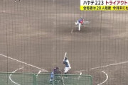 ハヤテ２２３新球団選手第１号は３球団で中継ぎ経験豊富、通算２２勝の藤岡好明