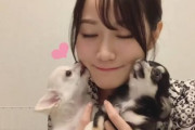 小倉唯、仔犬2匹を飼いはじめる