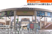 天王寺動物園でサルのエサが相次いでなくなる　窃盗の疑いで飼育員の男を逮捕