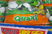 ワイ君、激安の高級グミを見つけて店内で震える