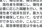 小沢一郎「国民一斉検査で、陽性患者、陽性無症状者、陰性者を明確にする。なぜそれができないのか」