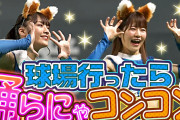 きつねダンス←ハム以外の全11球団がキモイと思ってるという事実