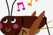 コオロギの成分表がヤバすぎると話題に！！これ本当に食って大丈夫なのか・・・？