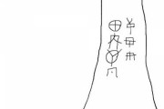 【謎の文字】神社に行ったら変な文字が木に彫られてたんだけど